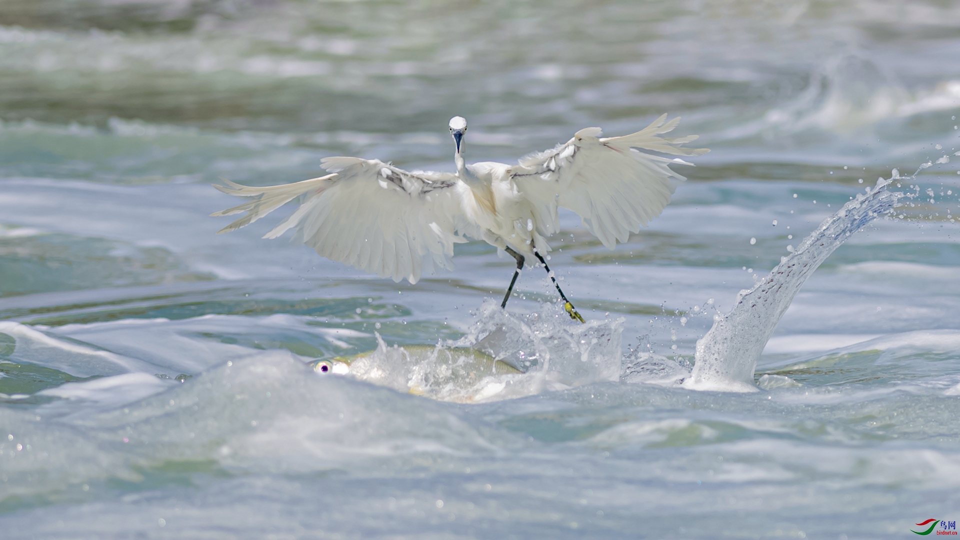 DSC_3779-1.jpg