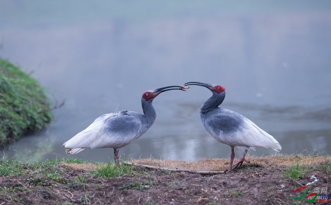 lţţ  ��ʦ�������㽭ʡ������.jpg