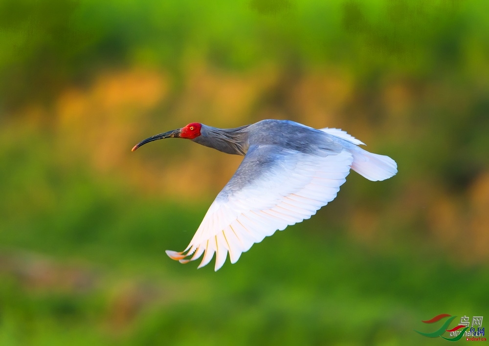 ������  ��ʦ����.jpg