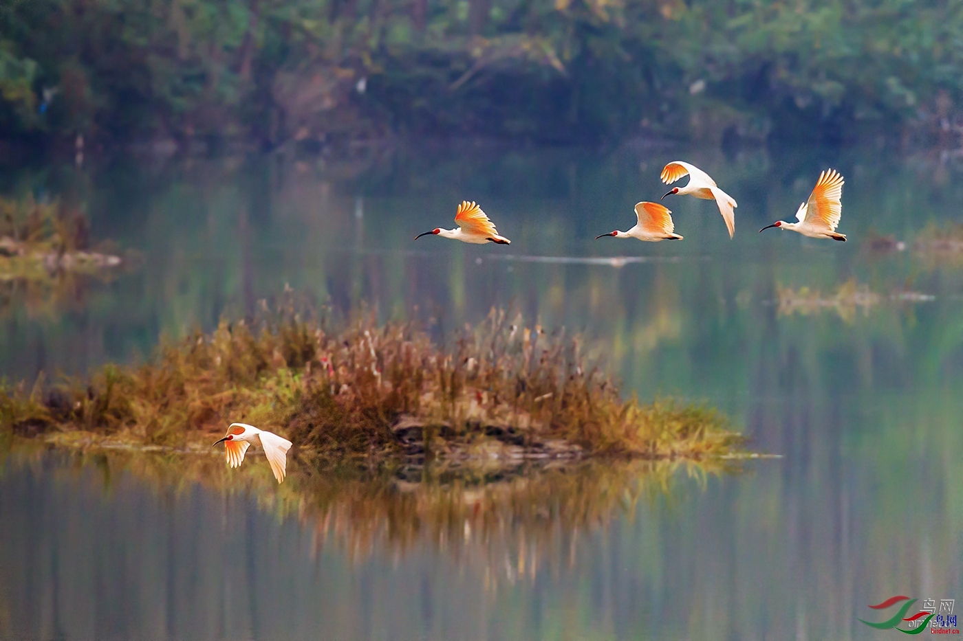 �ϱ�bj  ��ʦ����.jpg