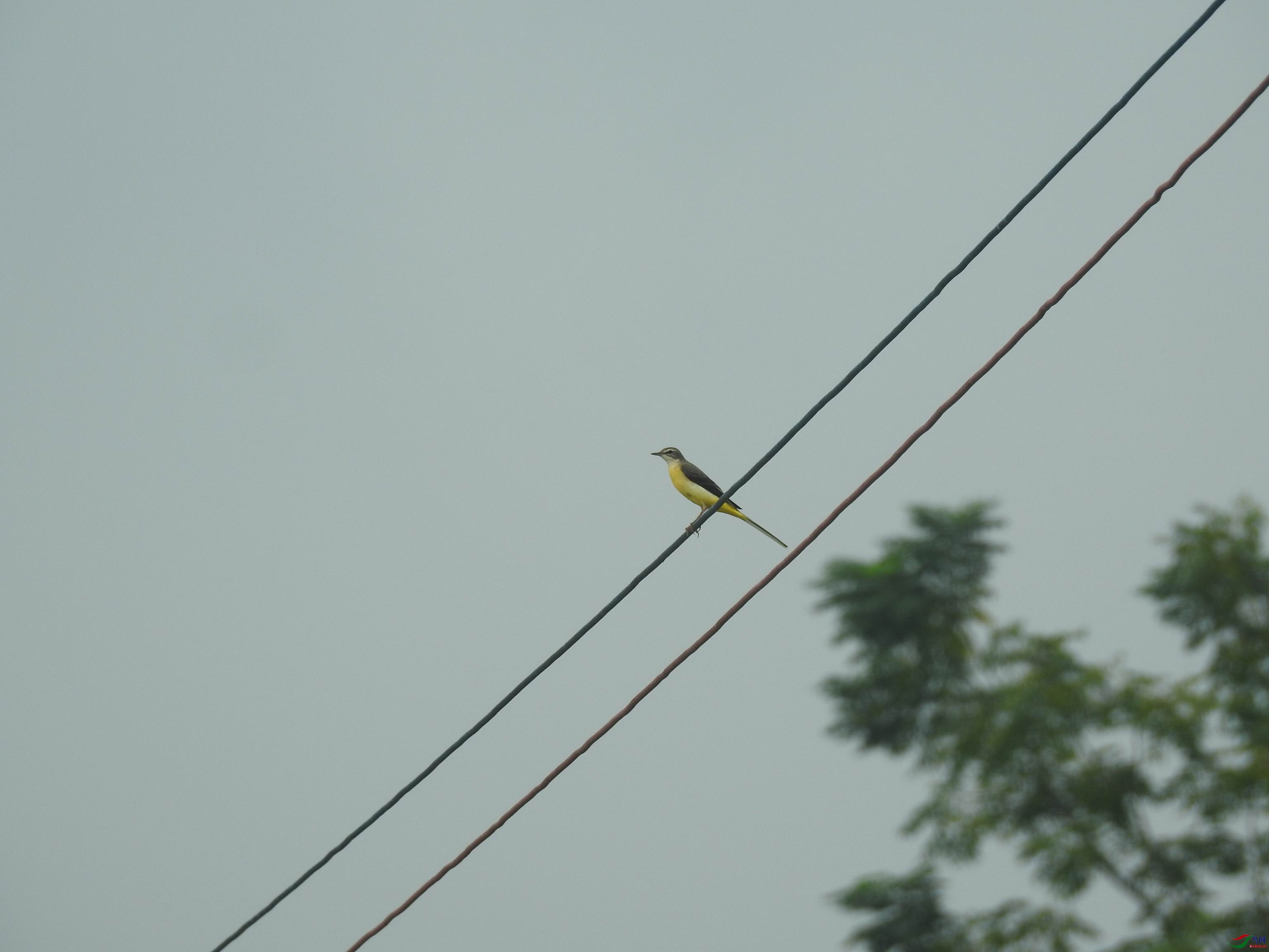 20201003082224.JPG