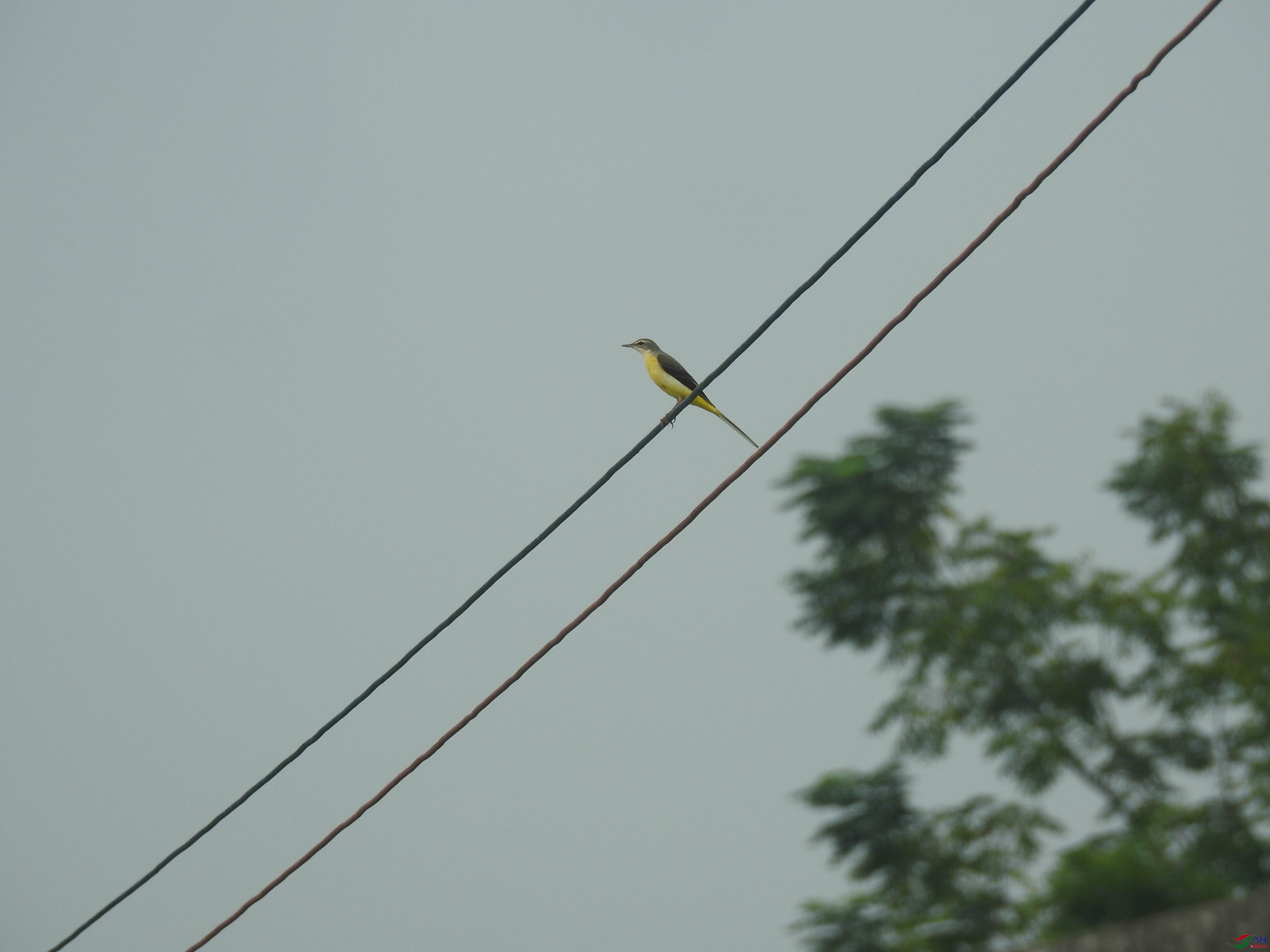 20201003082238.JPG
