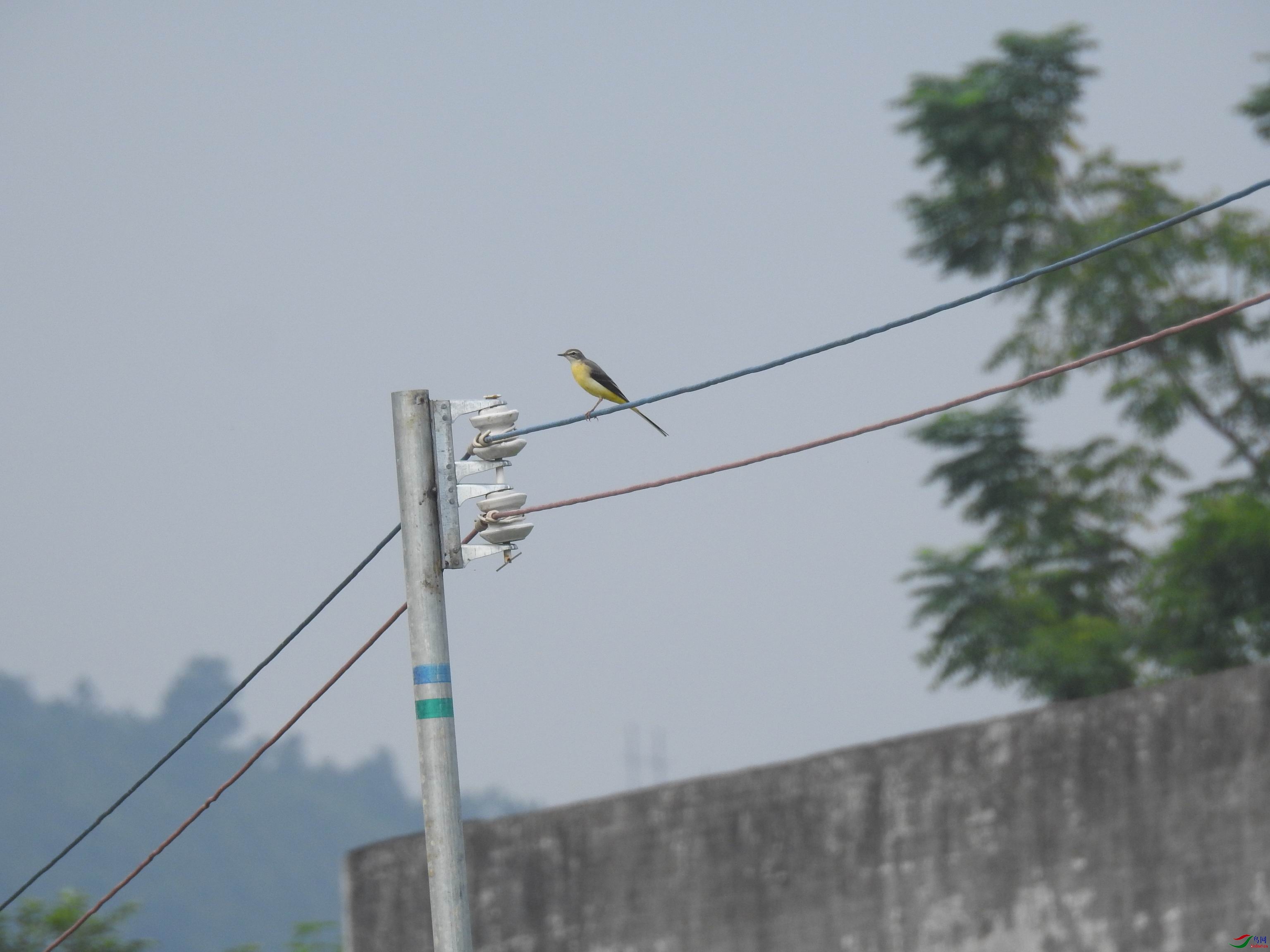 20201003083612.JPG