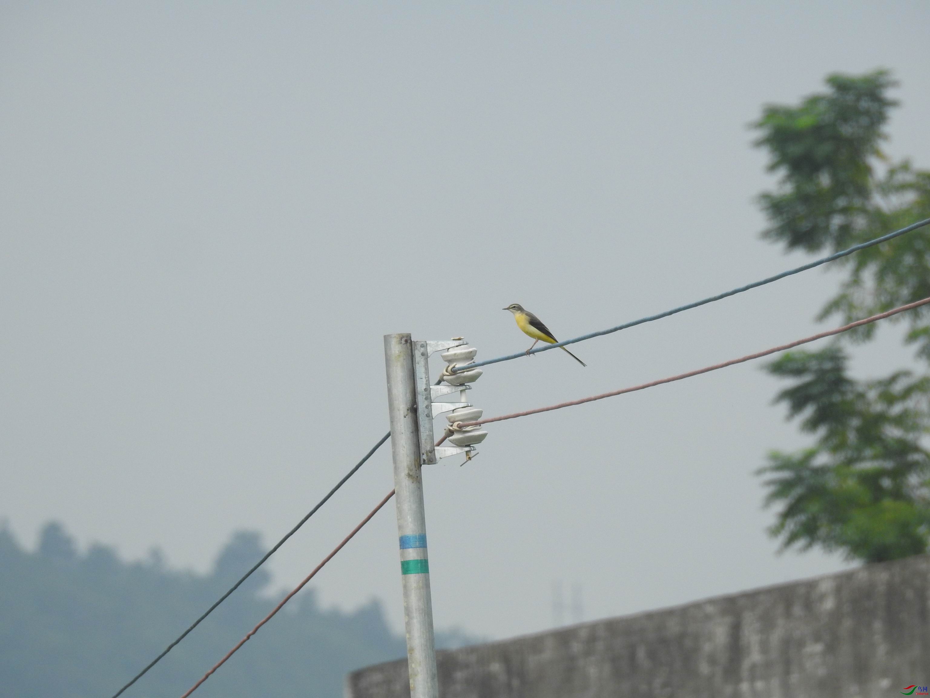 20201003083610.JPG