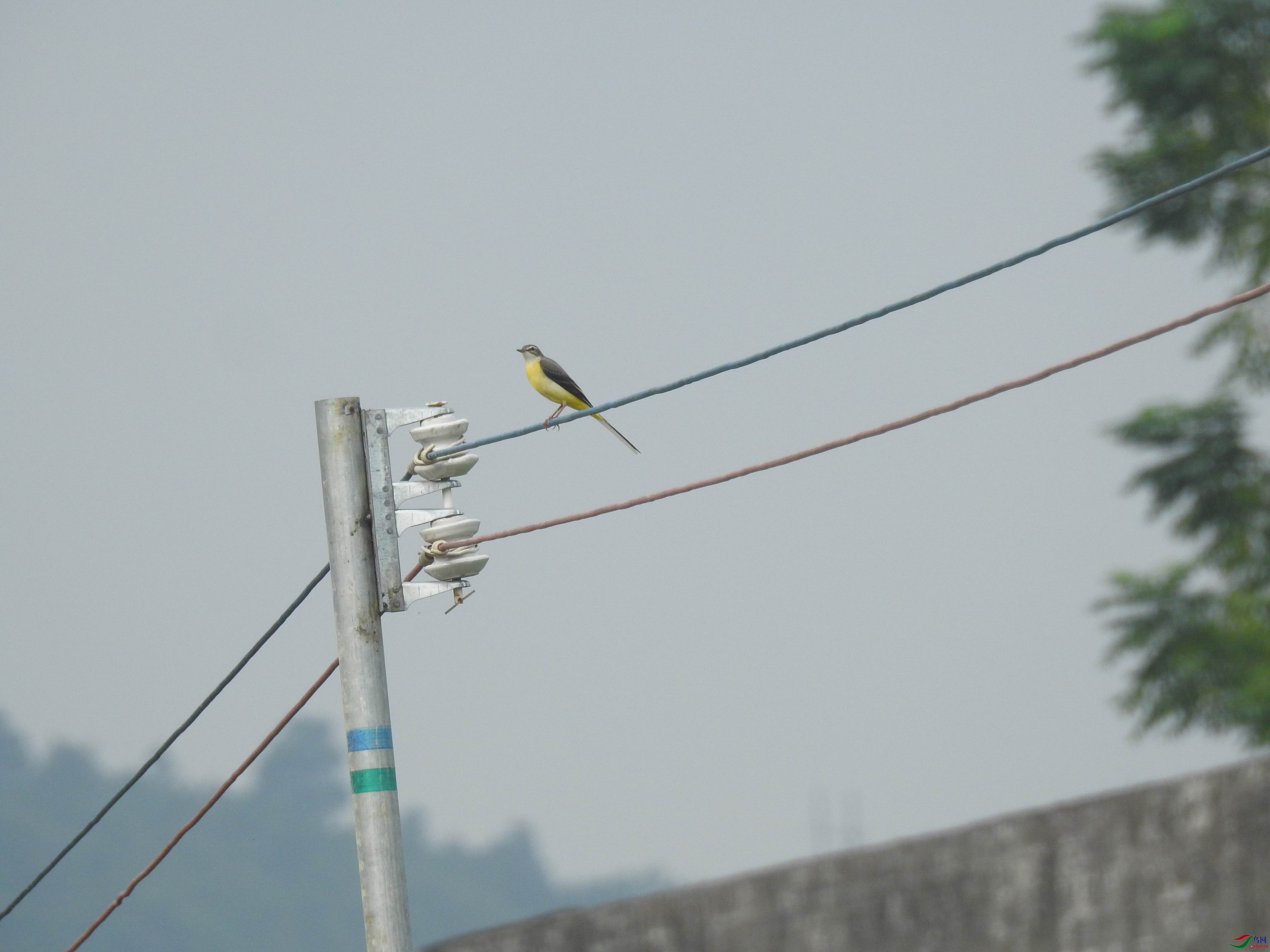 20201003083634.JPG