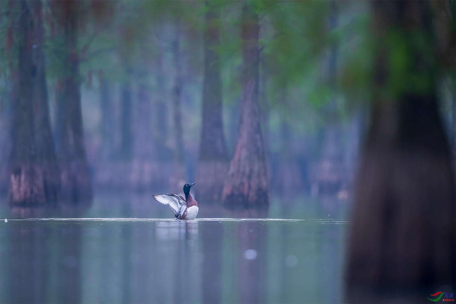 1DX_1353-1.jpg