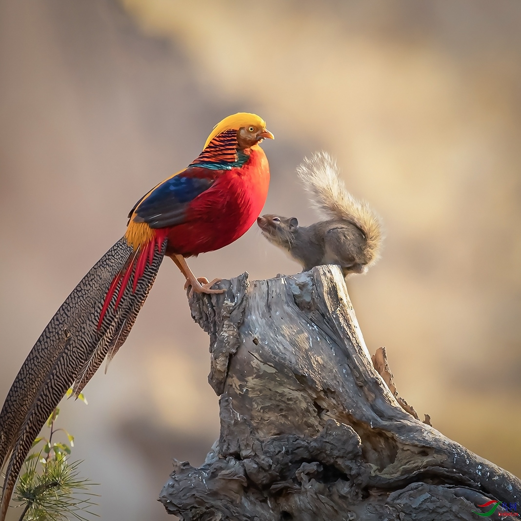 ץ����ɽ���˳ǡ�