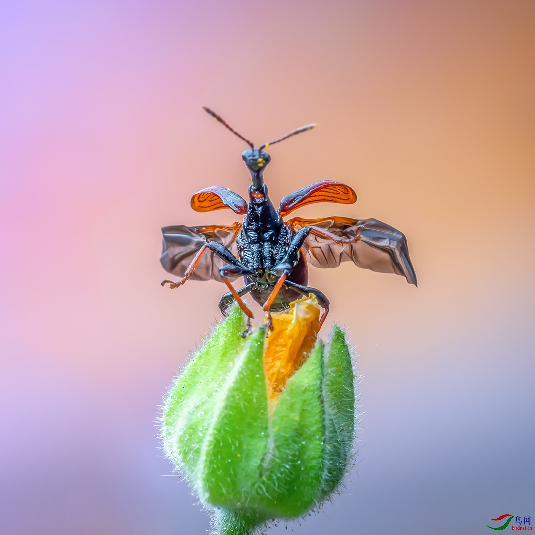 ���-1080.jpg