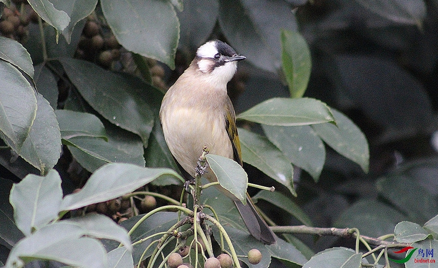 IMG_0006.jpg