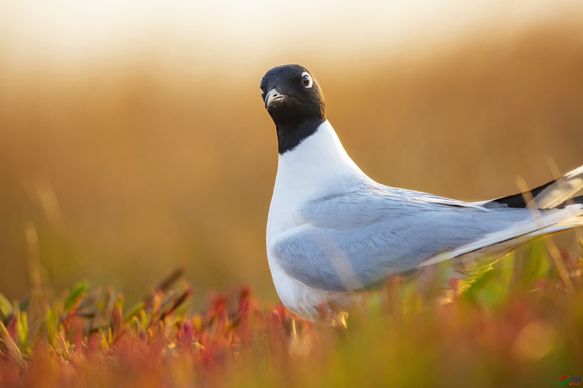 001 ���� G9A0979.jpg