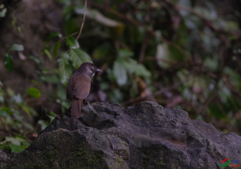 DSCF7538.1.jpg