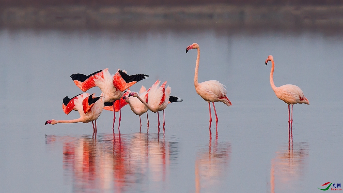 XCG_1522 - ����.jpg