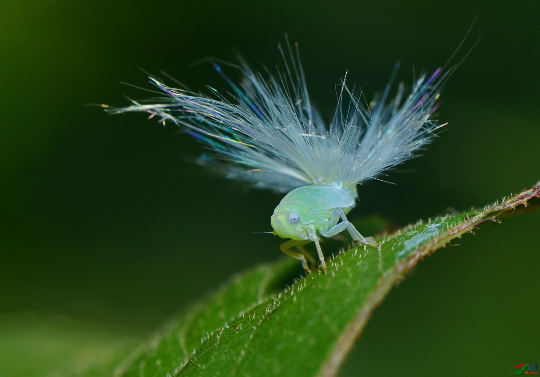 DSC_3193 ����.jpg