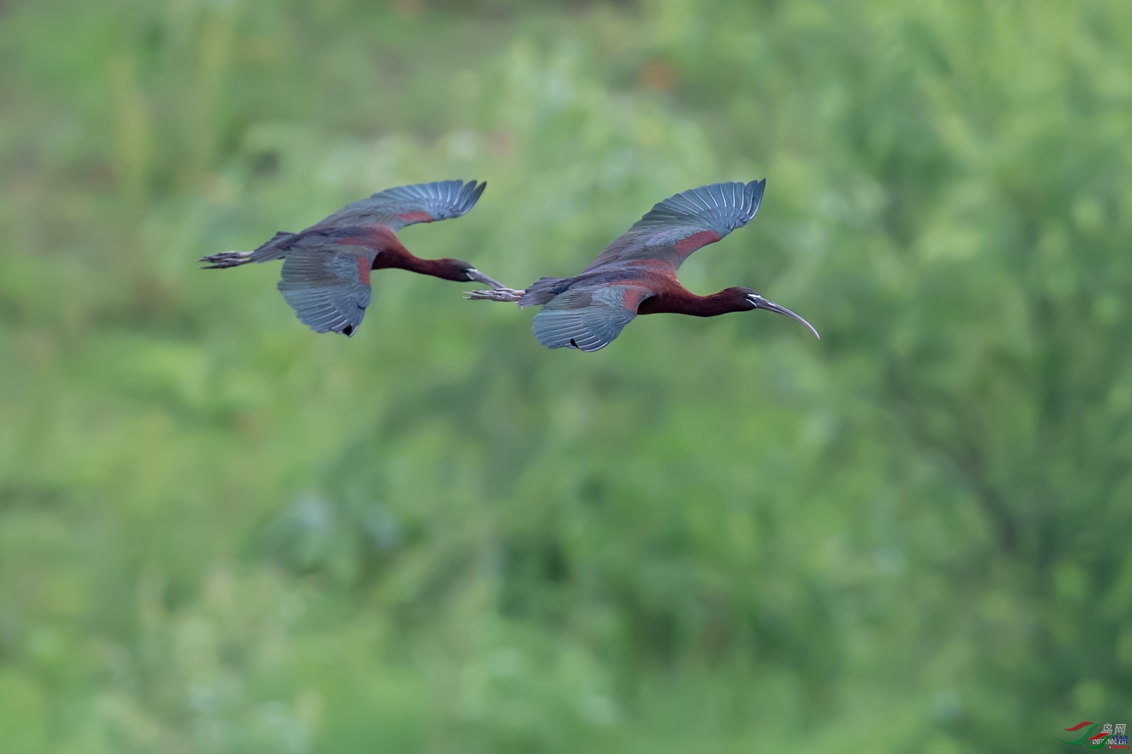 ���ܼδ� ��ʦ����������ʡ��������֣��.jpg