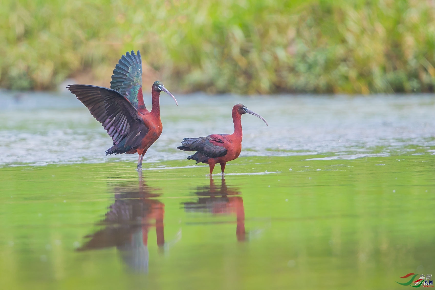 κΡ���� ��ʦ����������ʡ��������֣��.jpg