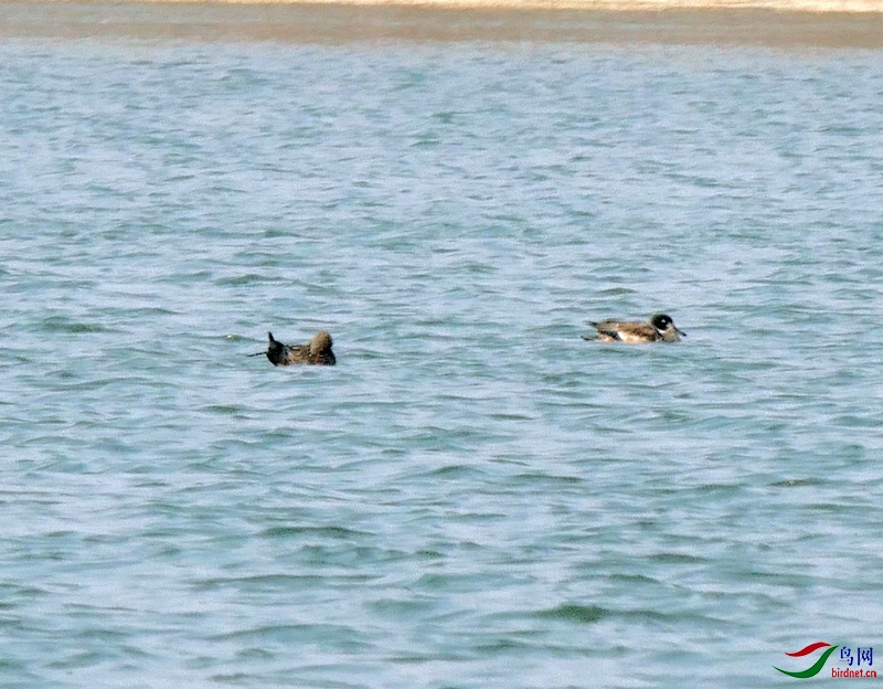 P5870780 - ����.JPG