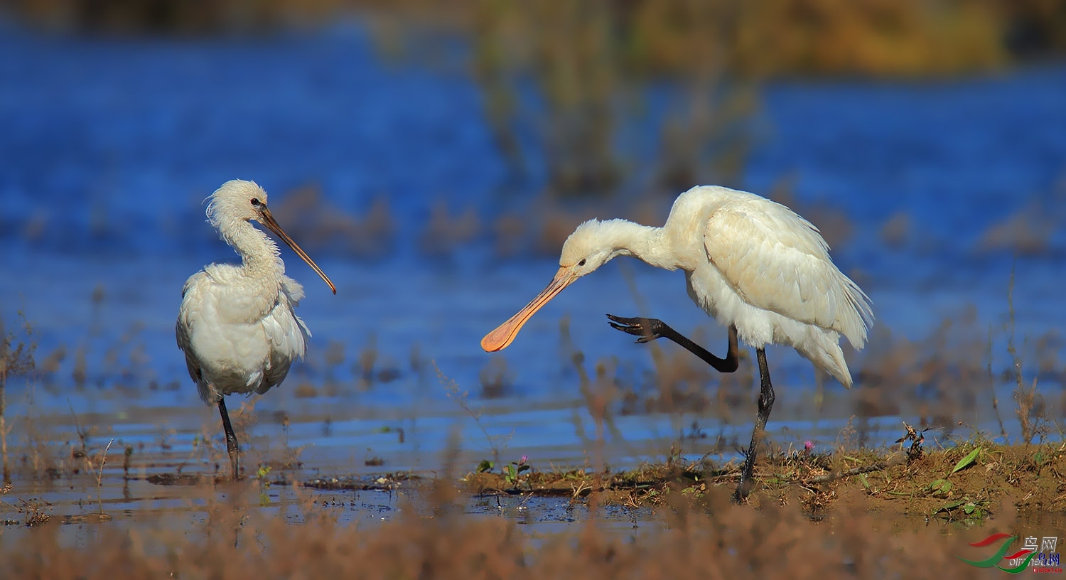 ���� ��ʦ�����ڱ���.jpg