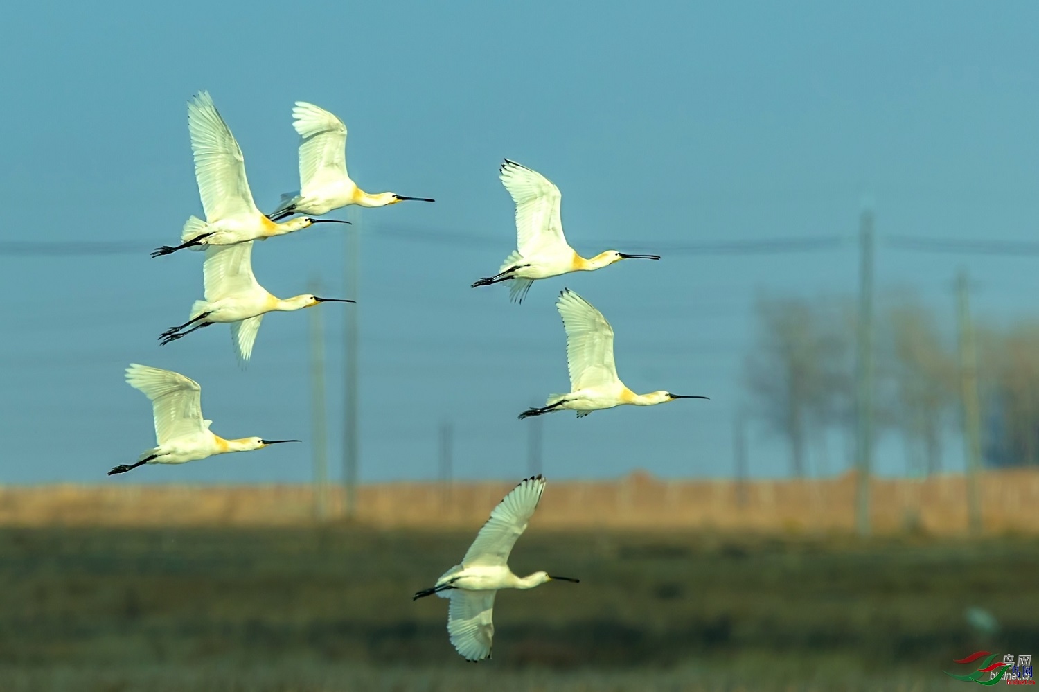 ������ʡ  ��ʦ����������ʡ�����з�����500.jpg