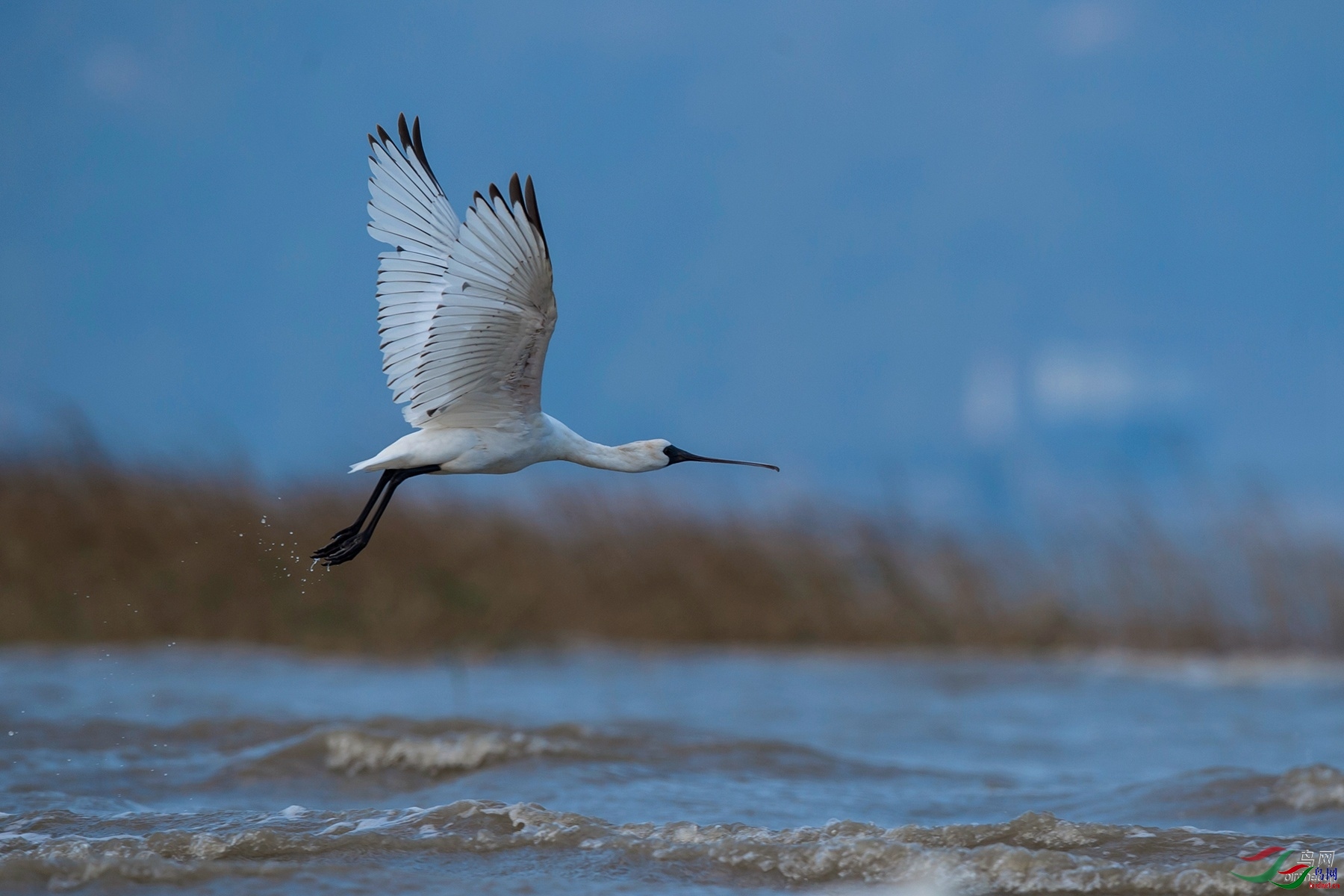 9.5��  ��ʦ����.jpg