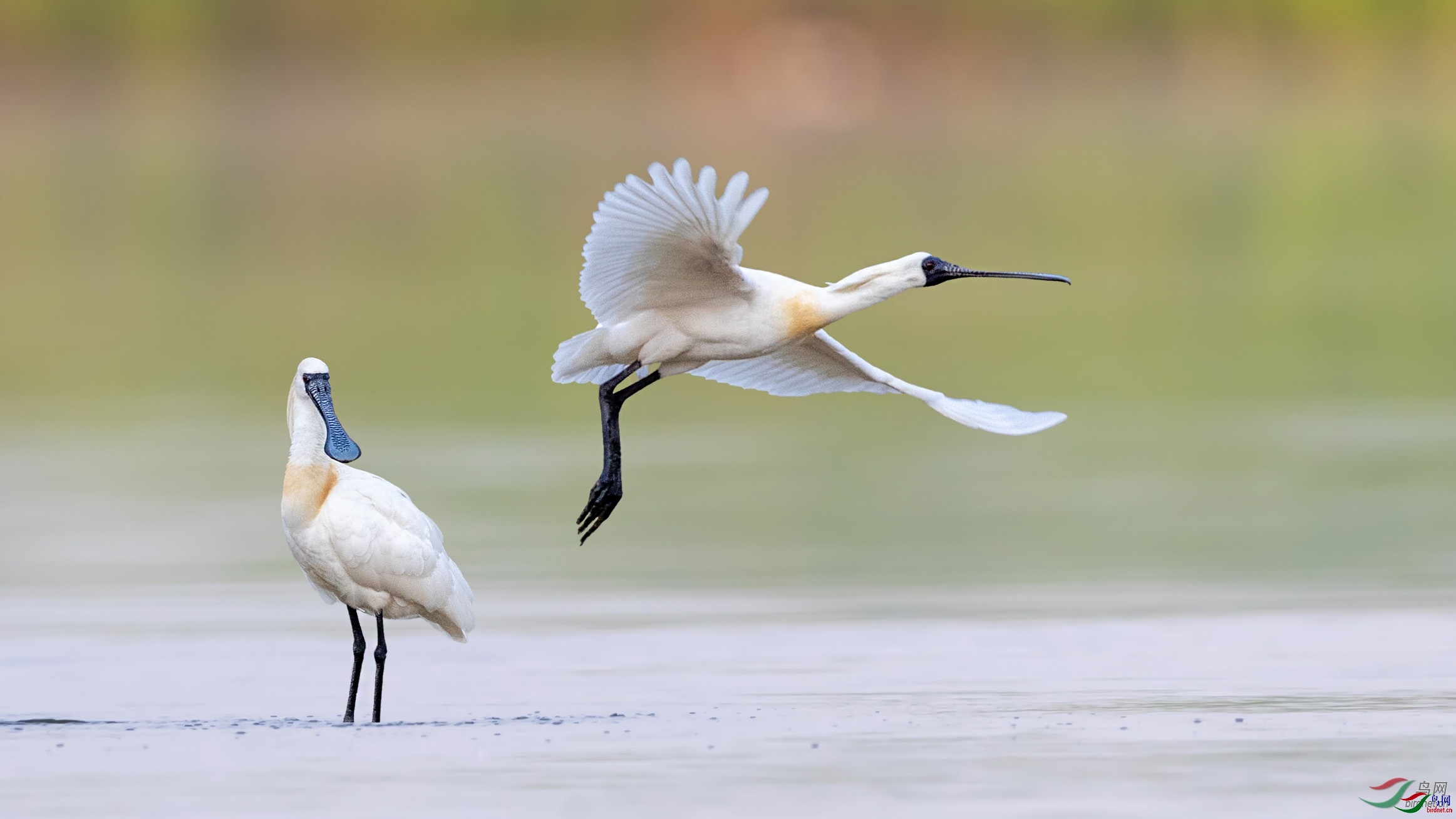 jmh167168  ��ʦ�����ڽ���ʡ�γ��ж�̨��.jpg