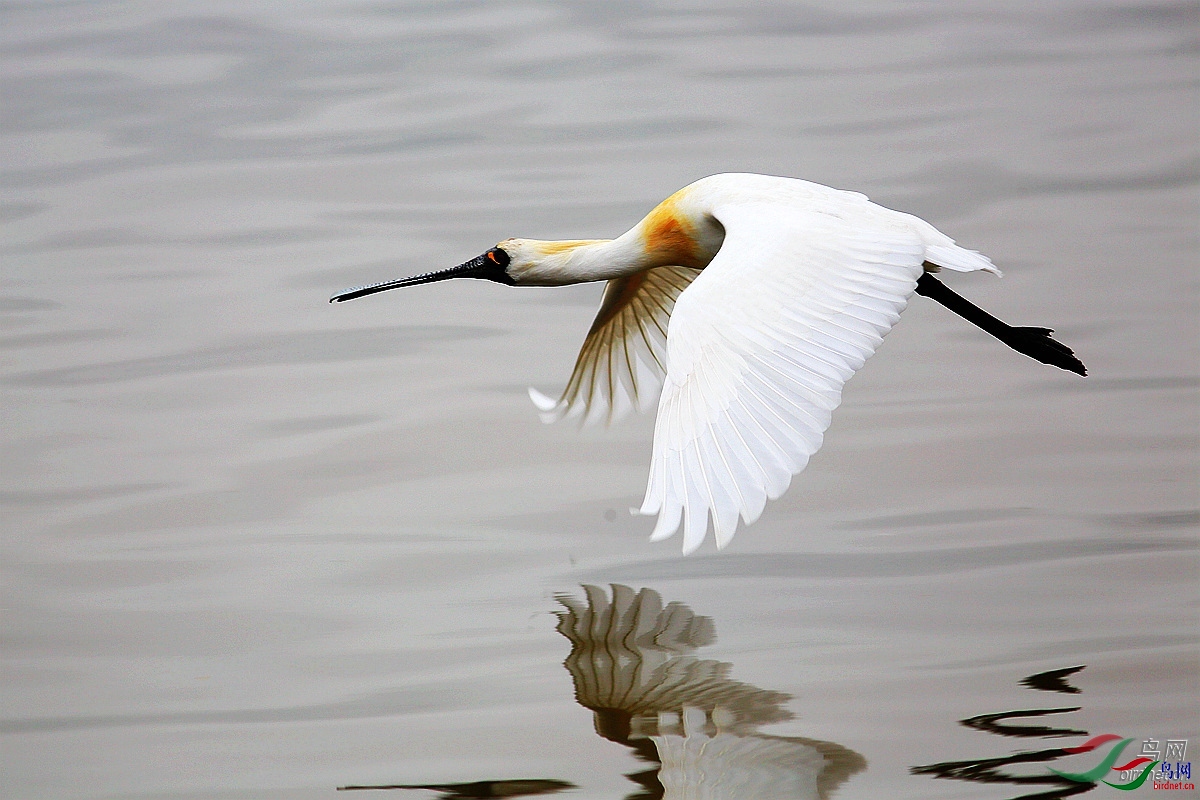 ������  ��ʦ�����ڹ㶫ʡ������ ������.jpg