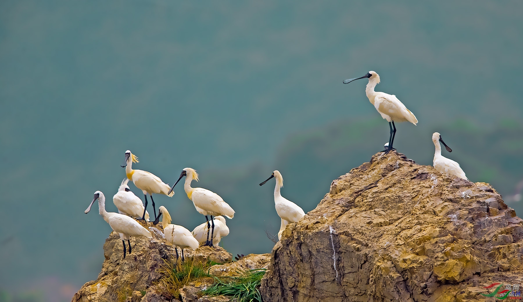 �������  ��ʦ����������ʡ������ׯ����.jpg