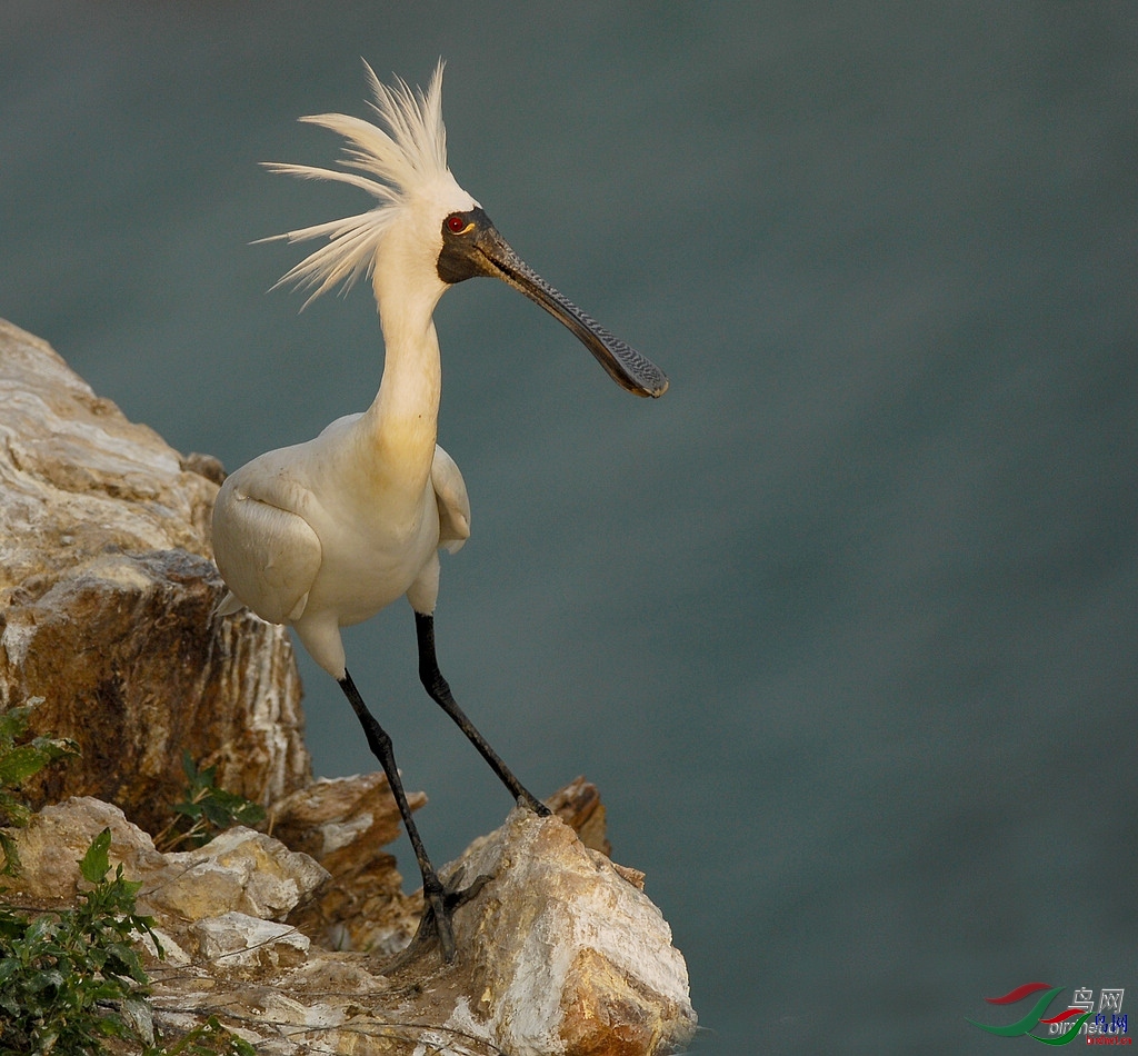 ���ɷ���1  ��ʦ����������ʡ������ׯ����.jpg