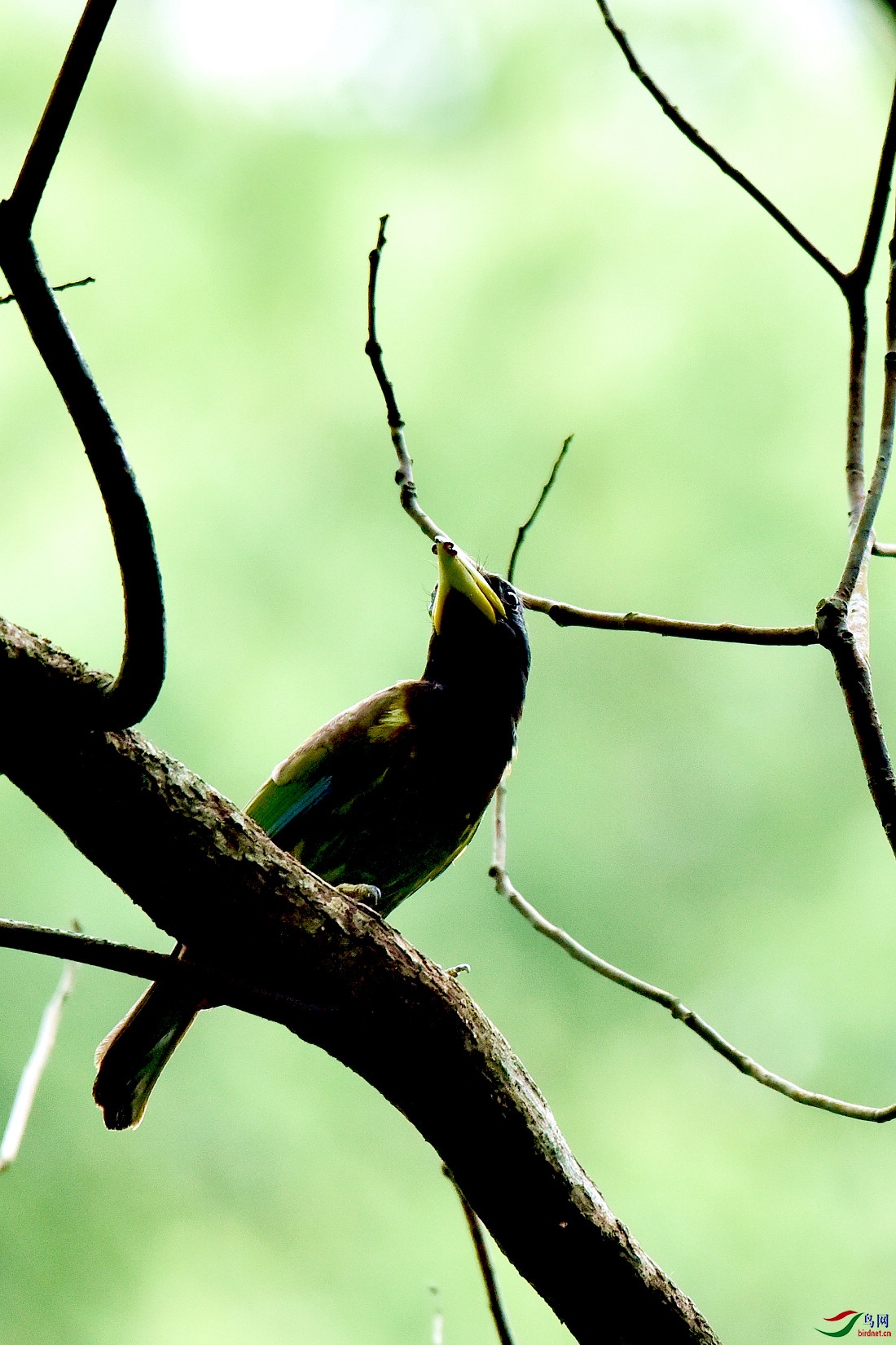 DSC_0475.JPG