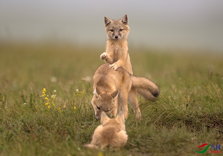 Photo taken on 2017-07-05 10-12-47.jpg