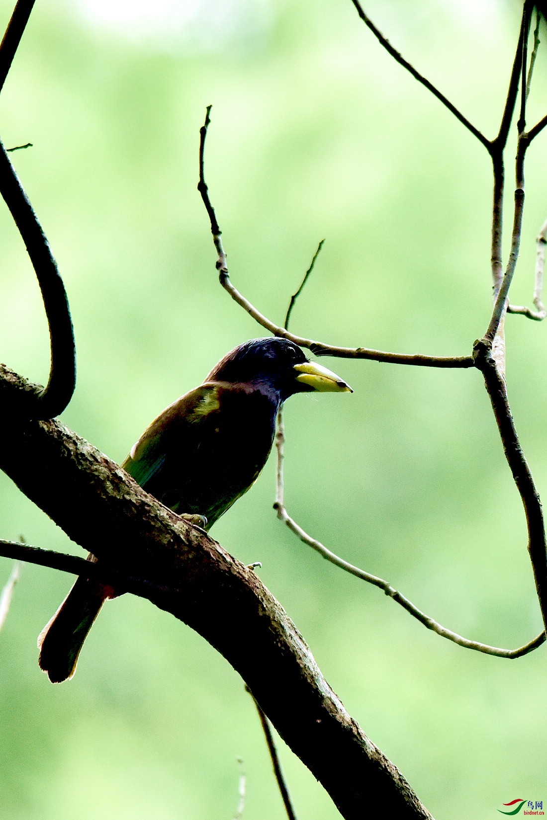 DSC_0479.JPG