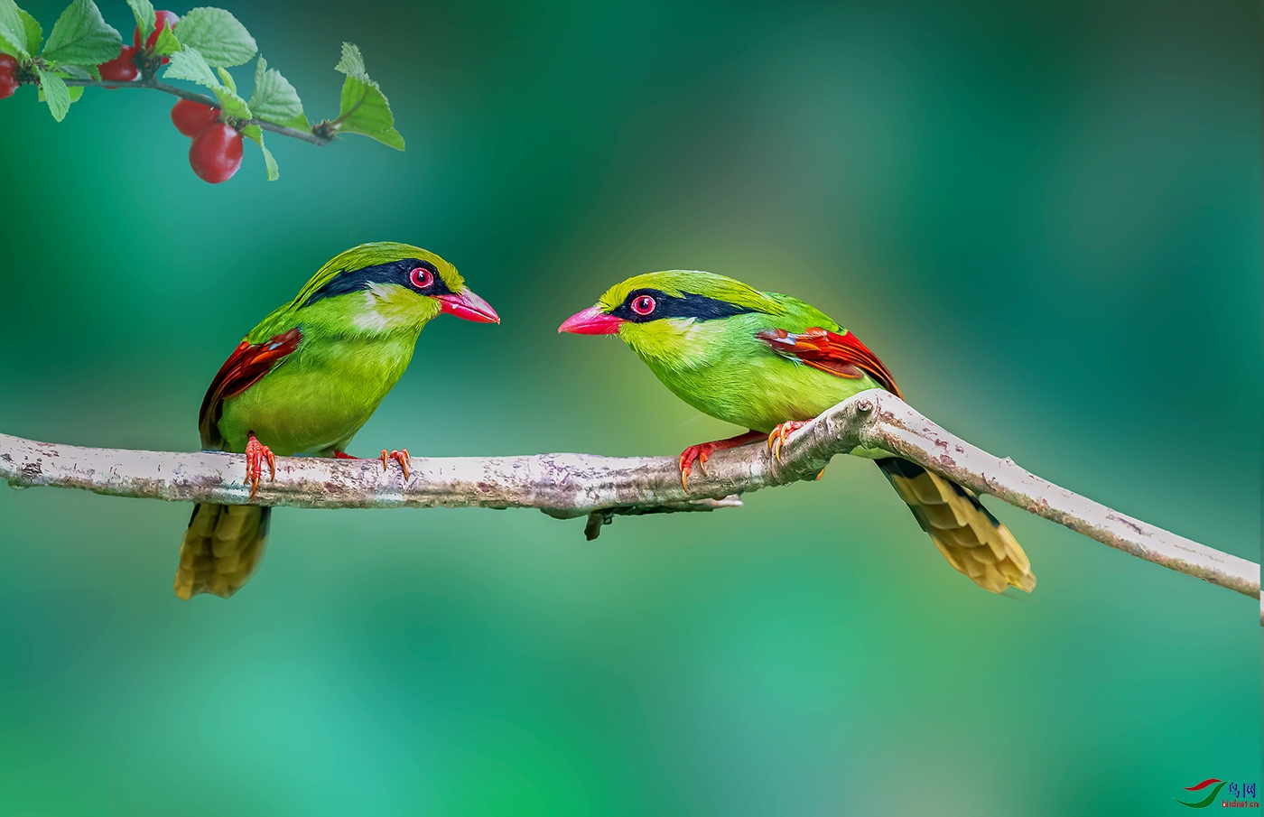 222_D0I5145 ok-NW.jpg