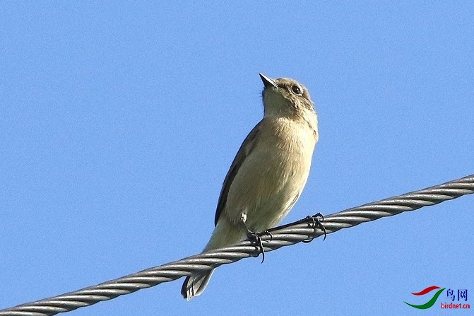 1z9a0177 (5)_conew2.jpg