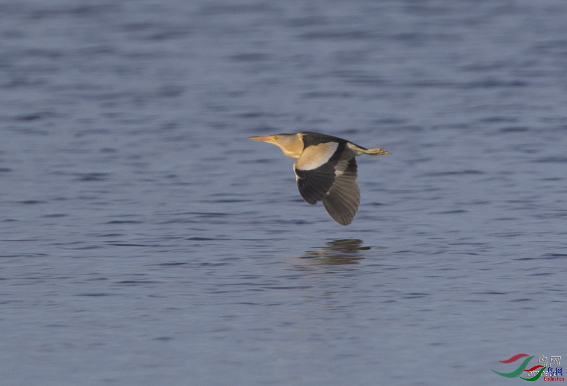 ��Ȼ�п� ��ʦ����.jpg