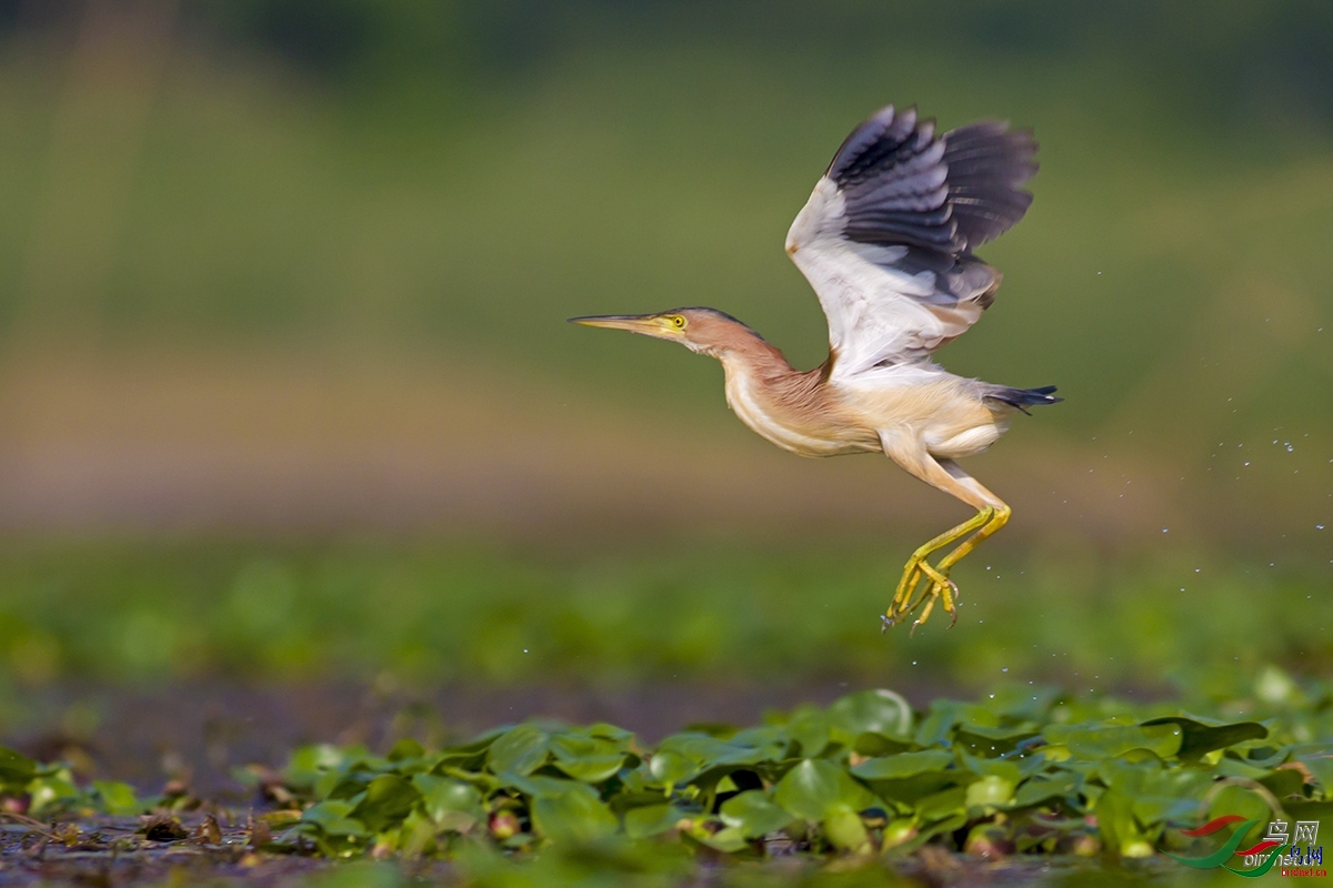 ������ ��ʦ�����ں���ʡ��ɳ��������.jpg