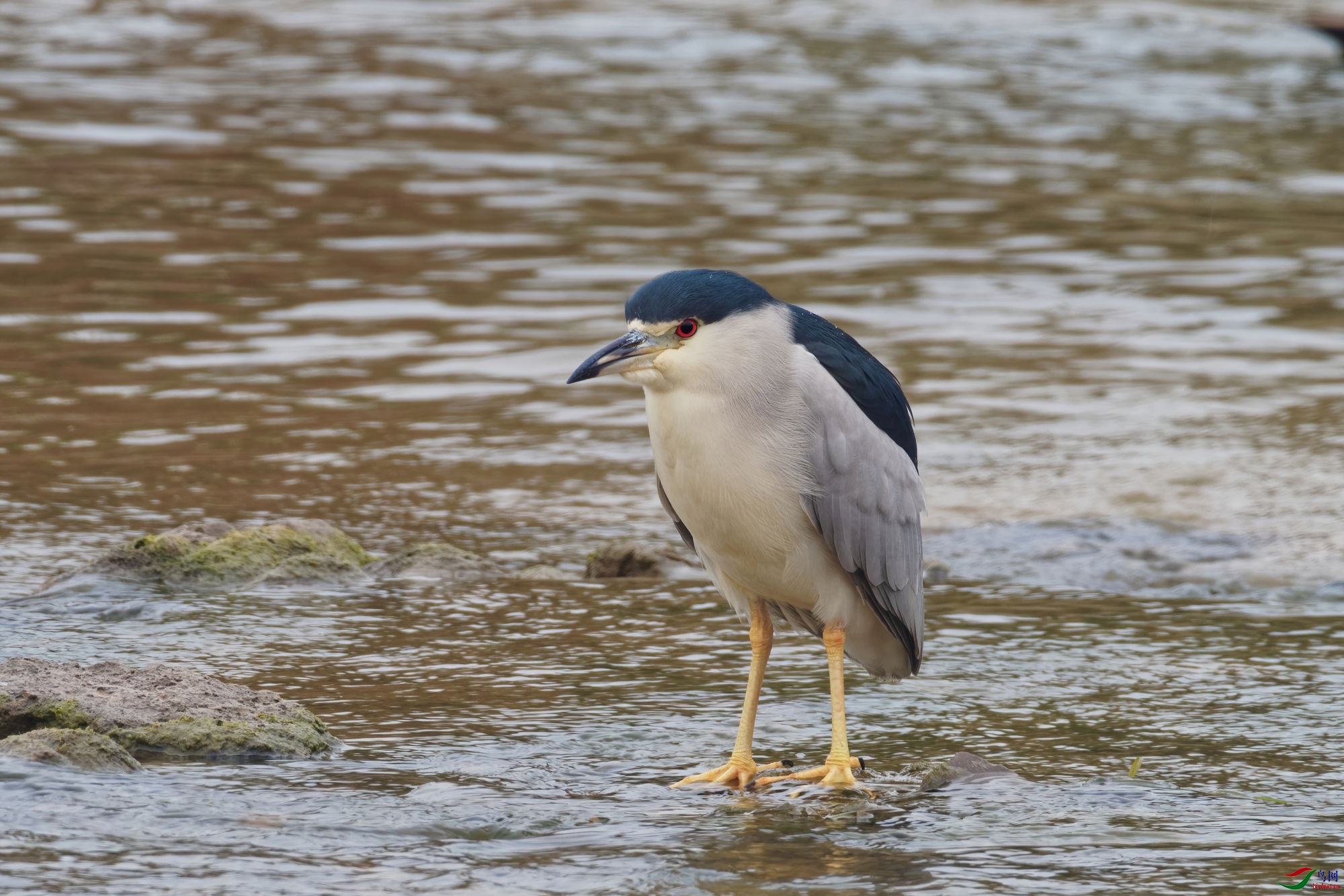 PC160144_DxO-d2.jpg