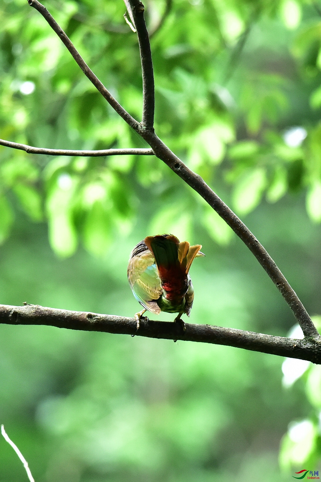 DSC_0484.JPG