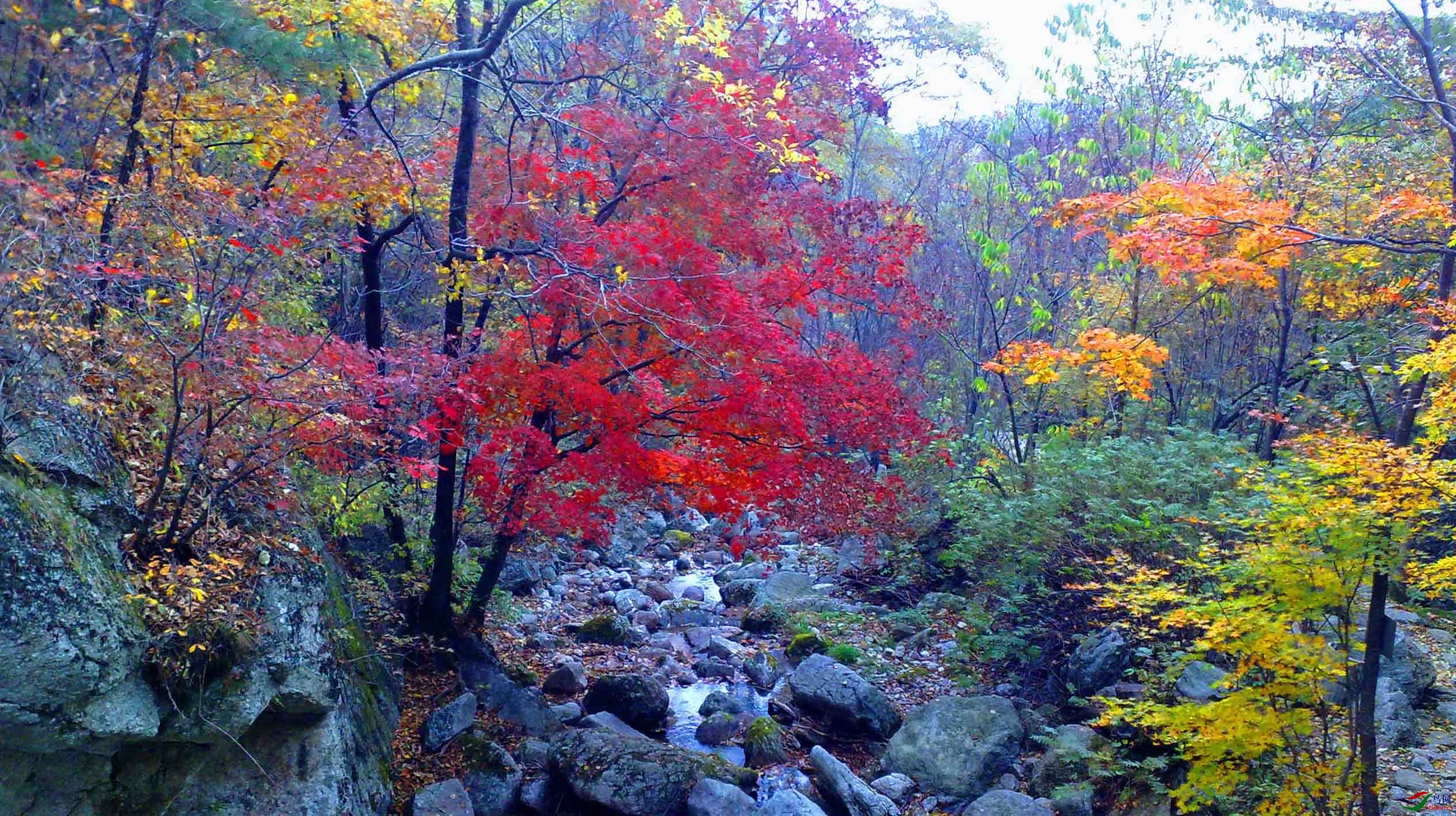 QQphoto.jpeg.jpeg (3)-01-P-001-01-003_00001-001.jpg