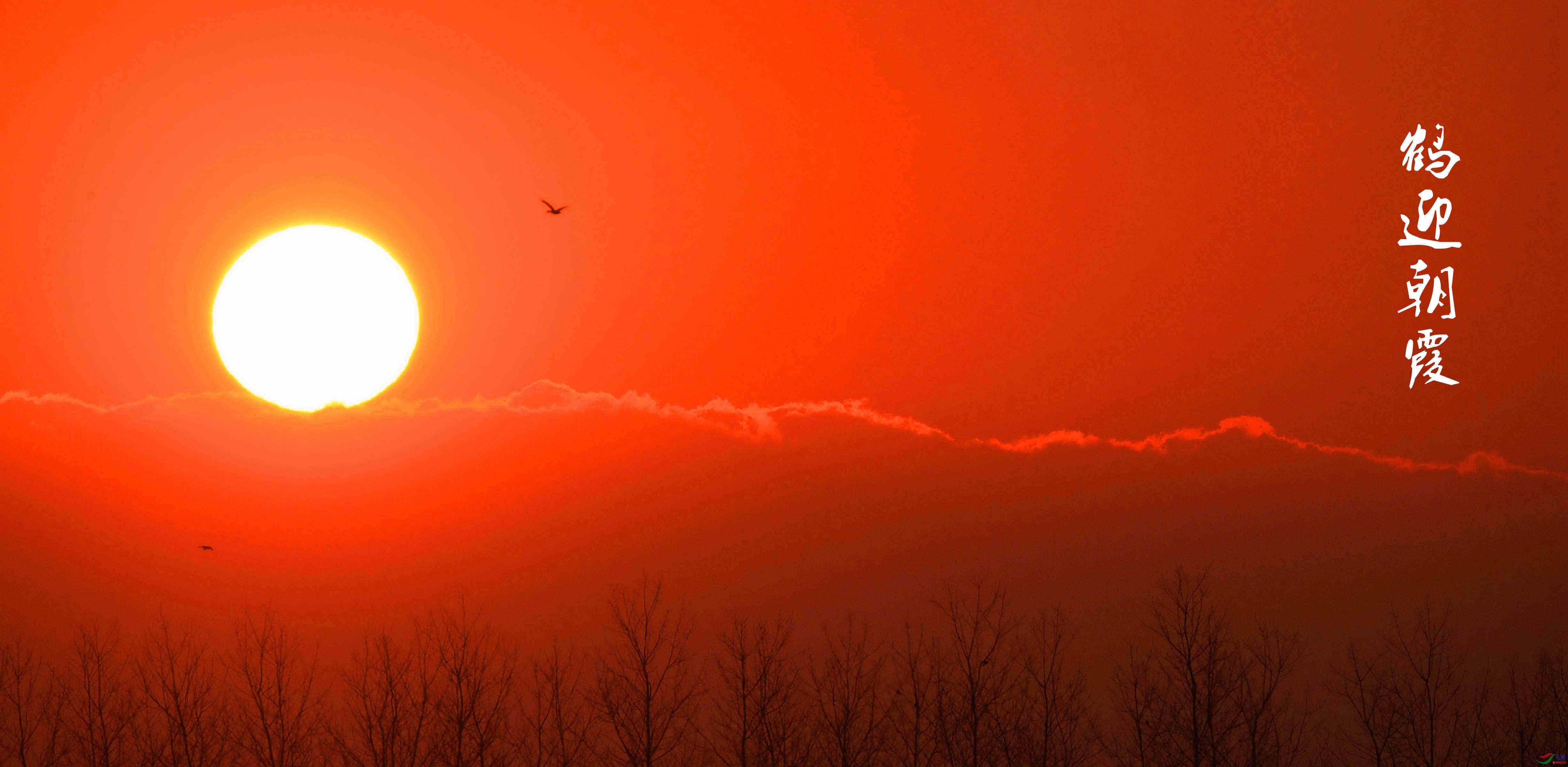 旭日东升鹤迎朝霞