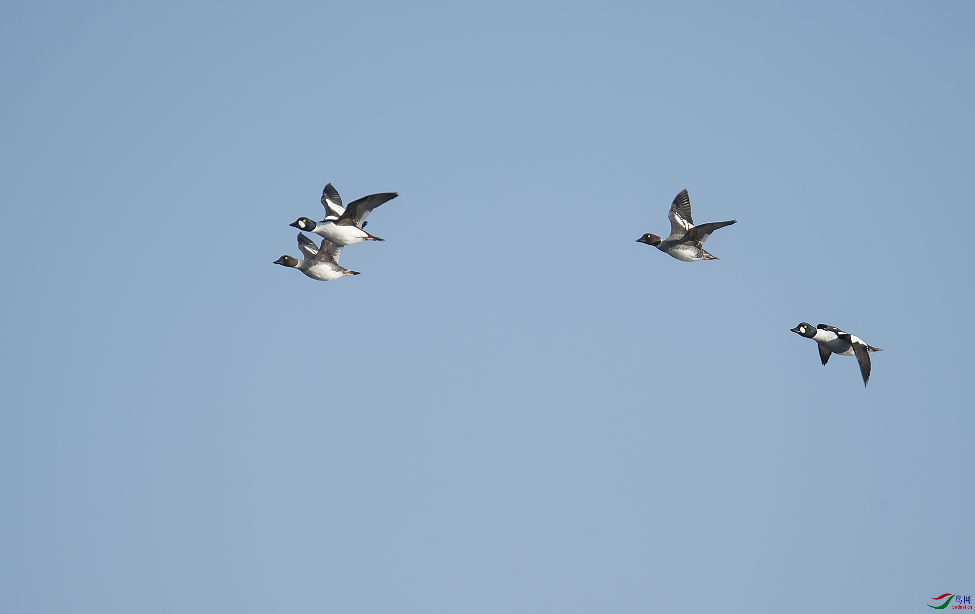 DSC_9080.jpg