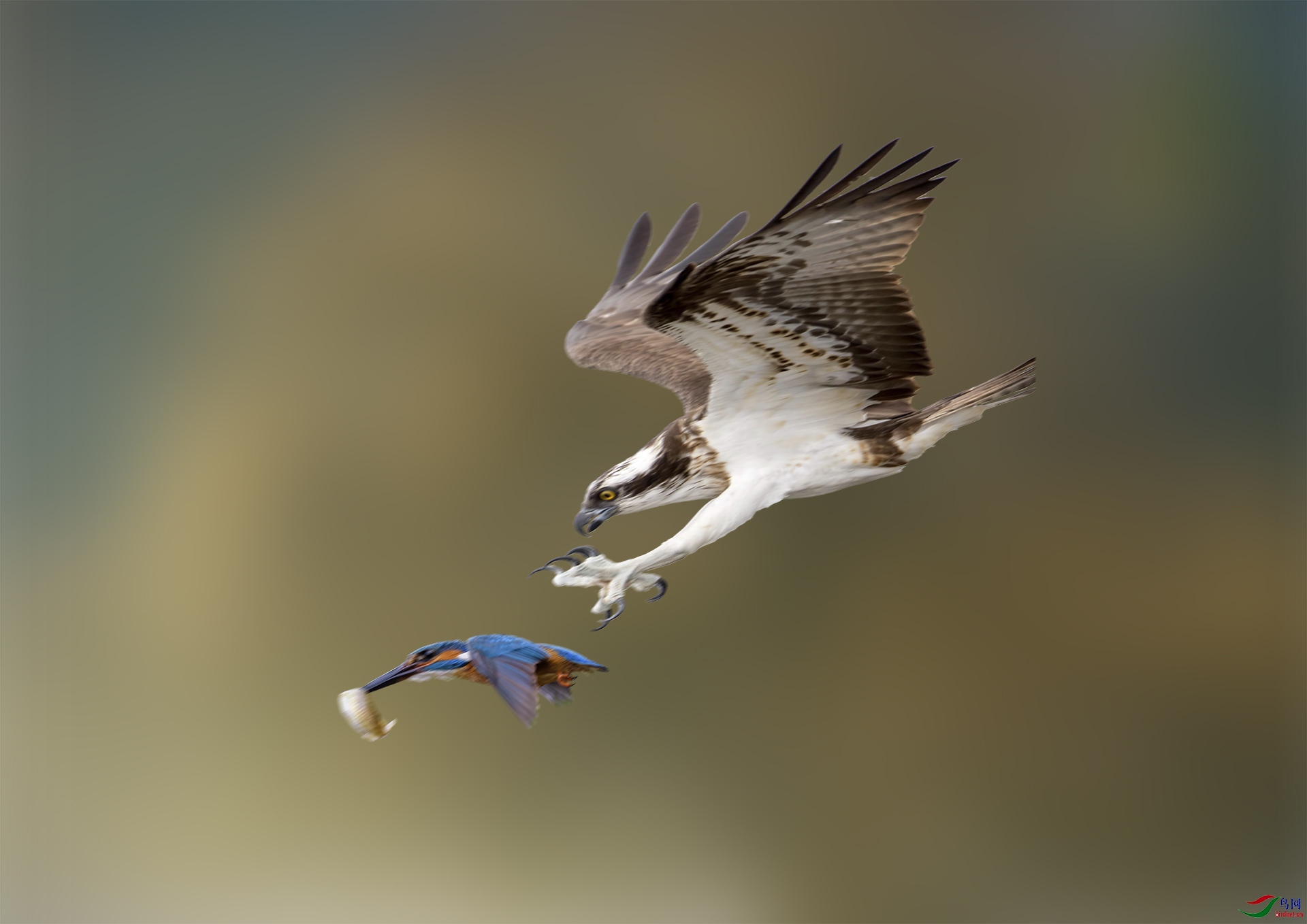 ����һɲ�� 1920x500k.jpg