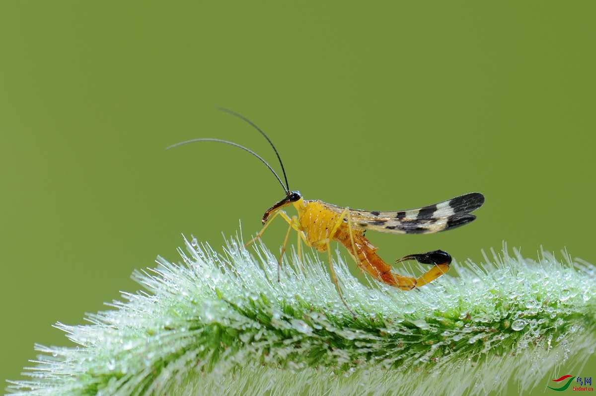 蝎蛉贺获首页精华