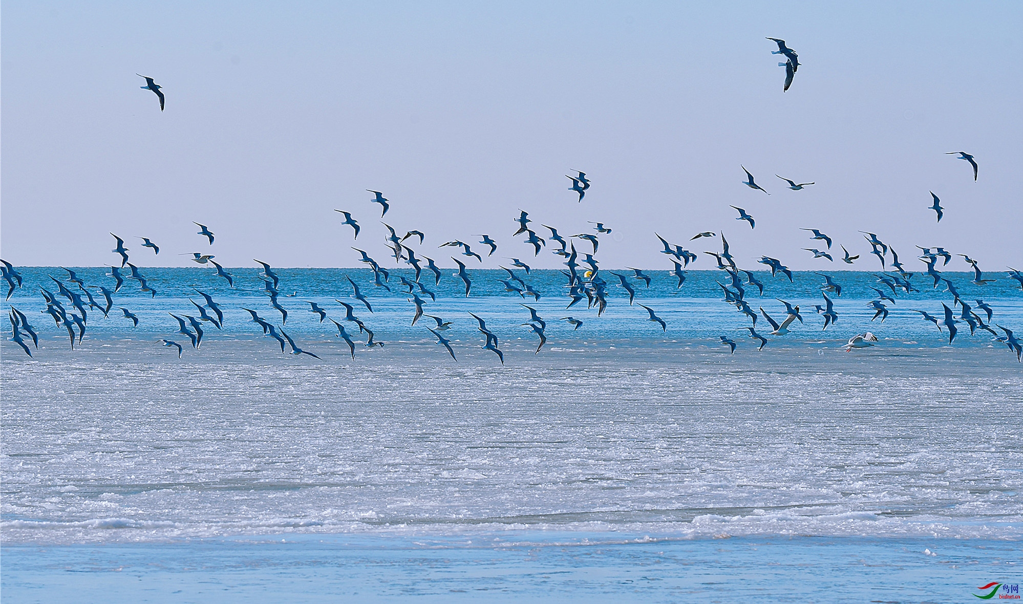 DSC_3301.JPG