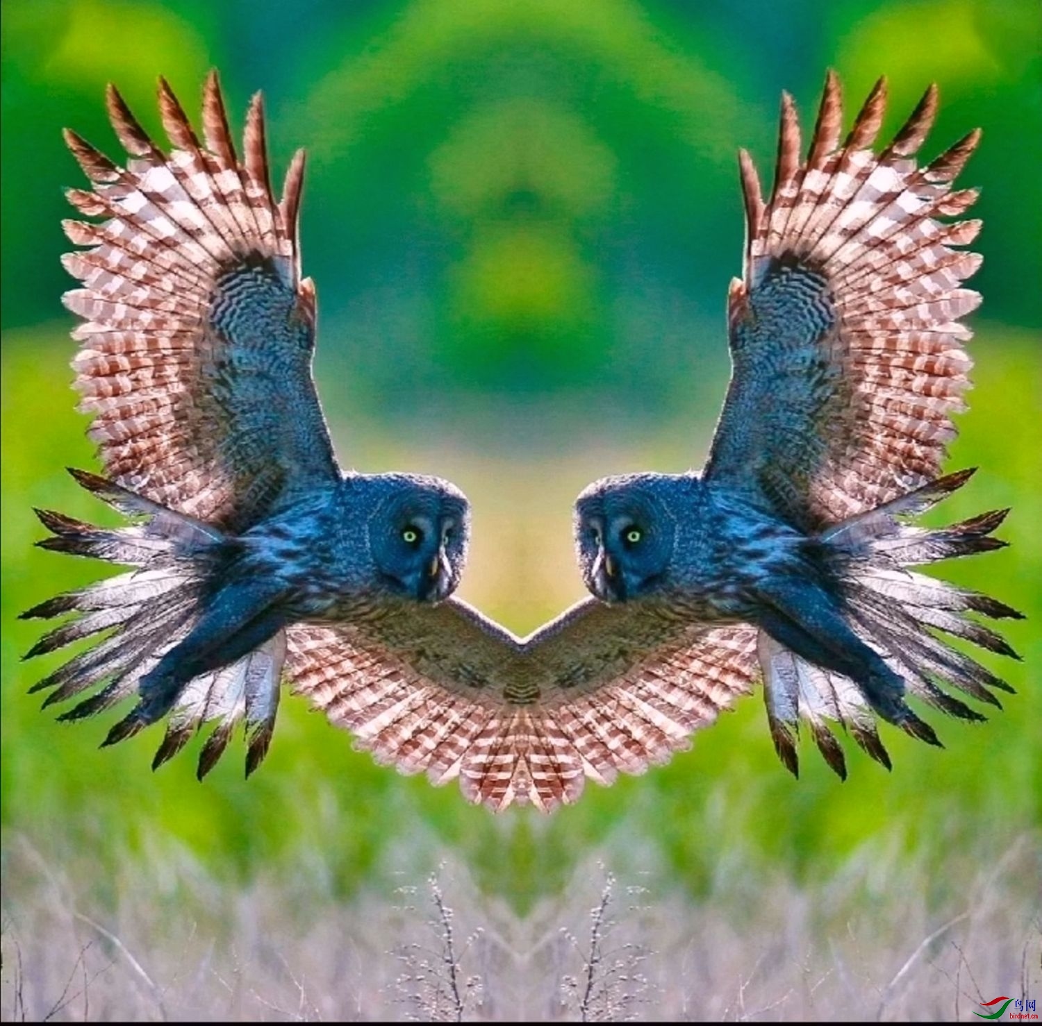 Screenshot_1500_����.jpg