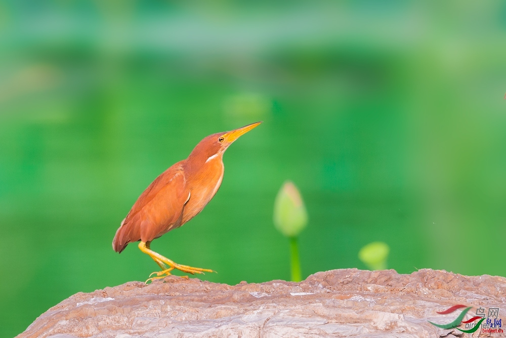 ��ǧ  ��ʦ�����ڸ���ʡ ������ ������ӱ�ʡ��ɽ��.jpg