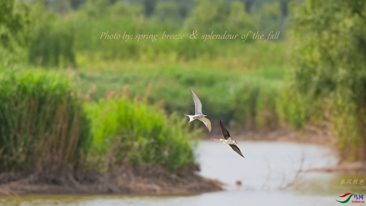 ���룡����