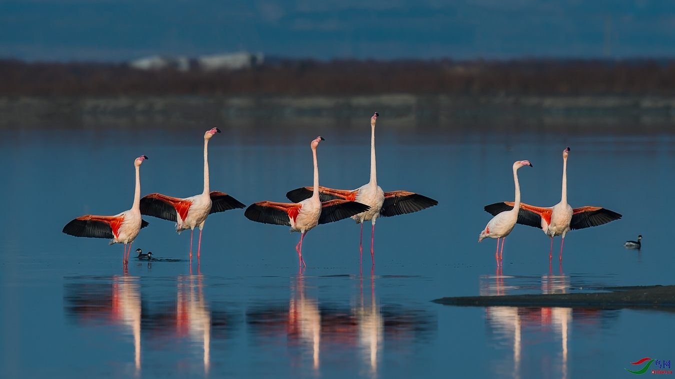 XCG_7078 - ����.jpg