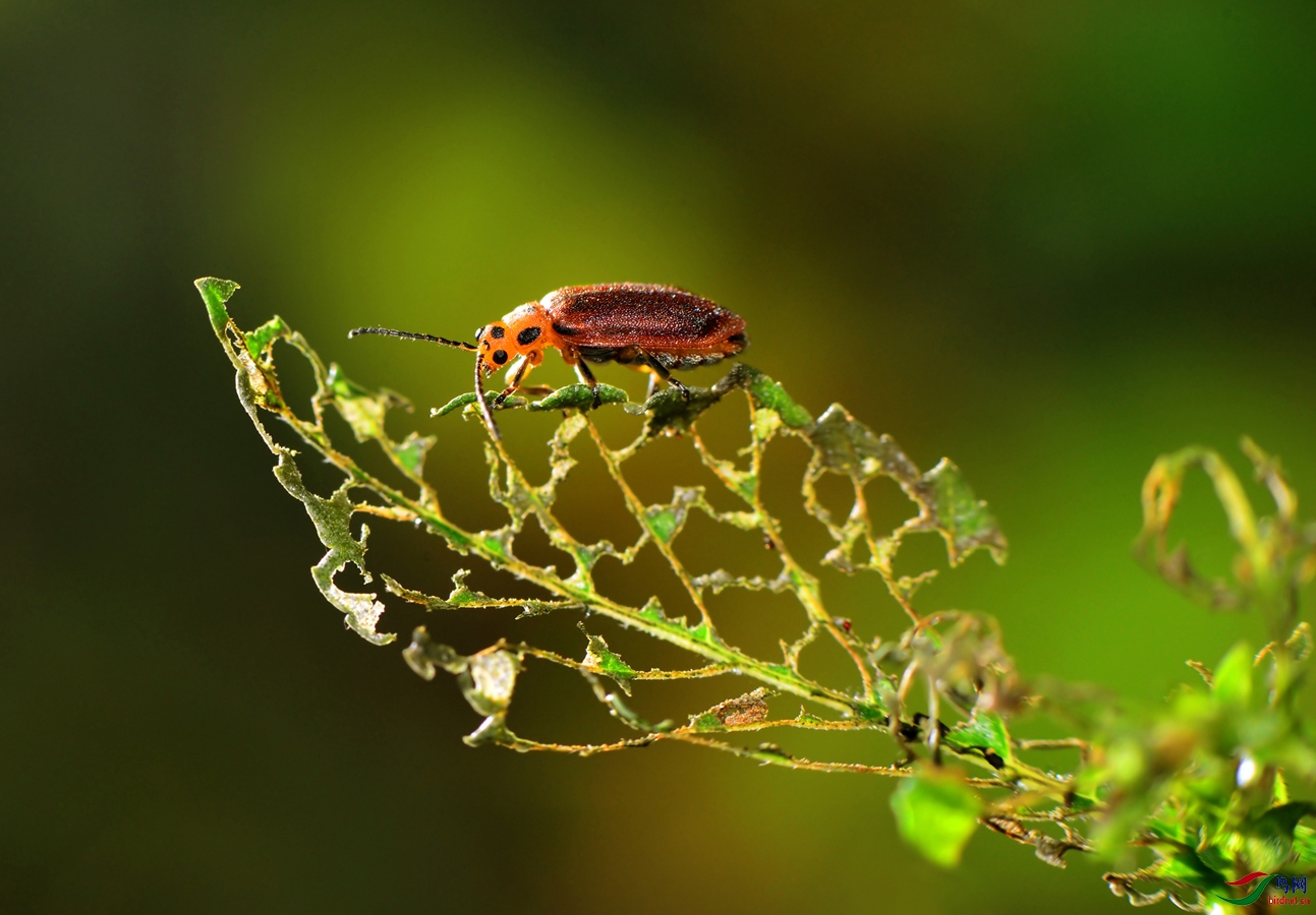 DSC_6834 ����.jpg