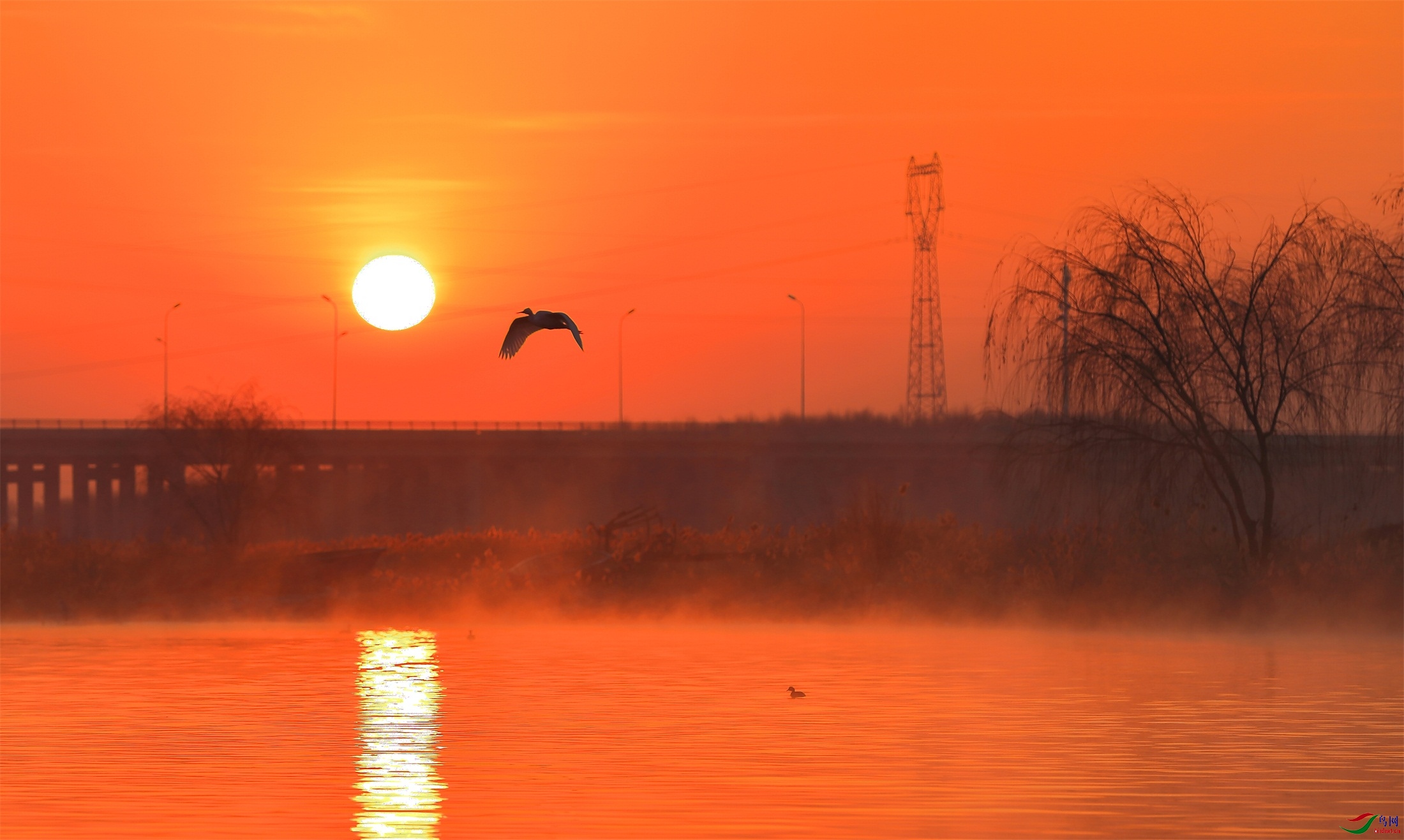 1 - ����.JPG