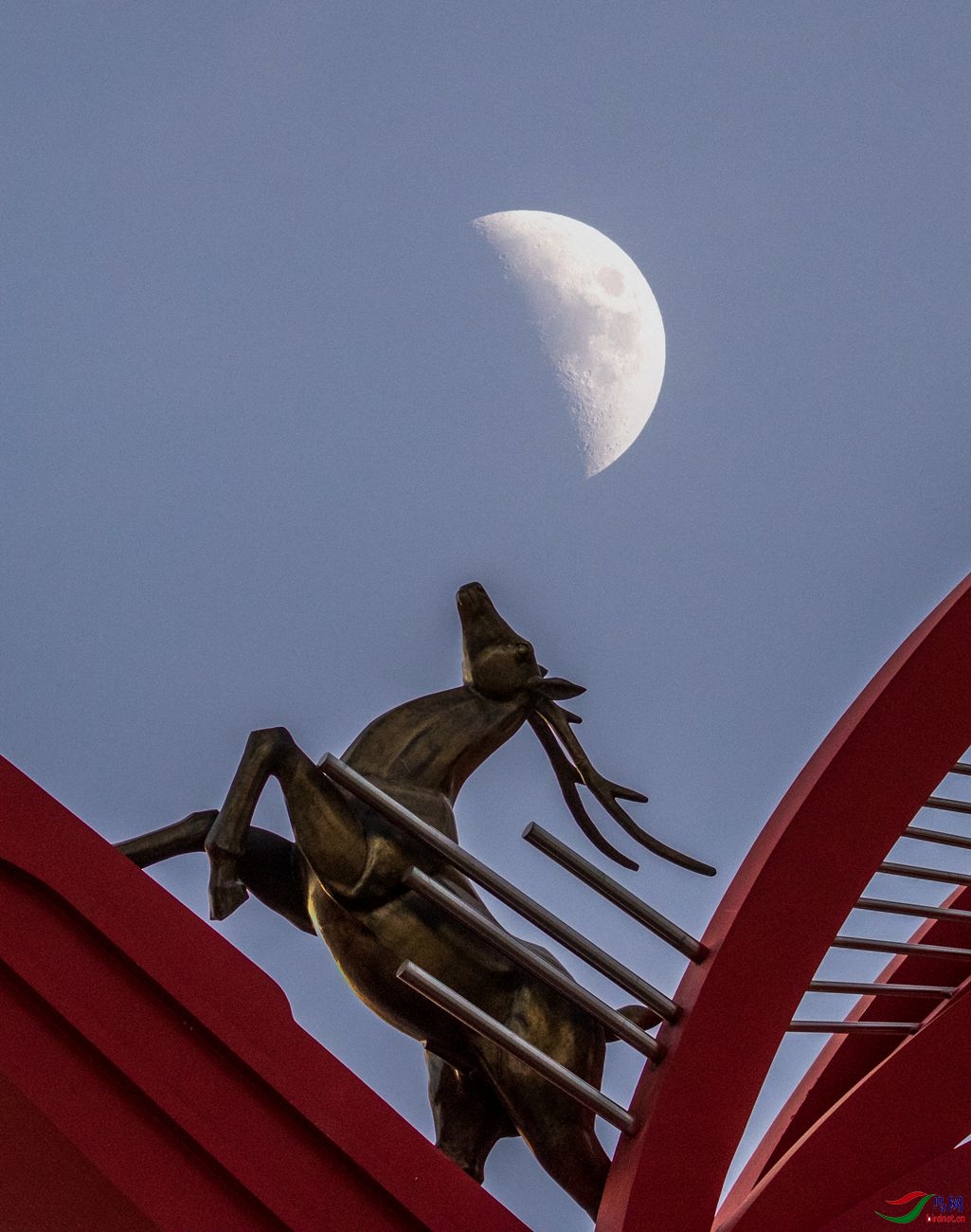 ��¹����