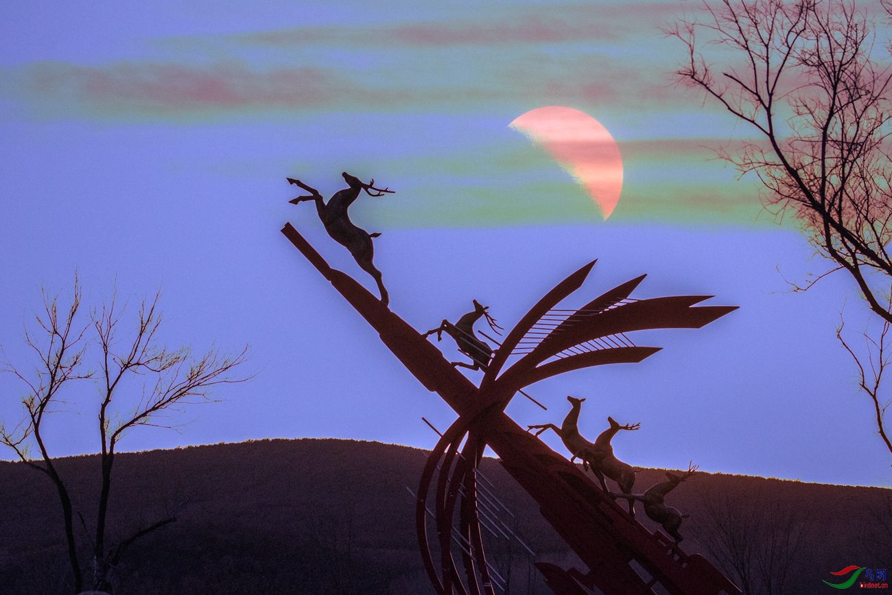 ��¹����